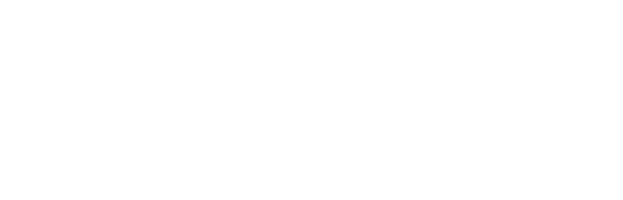 Logo der Landesinitiative